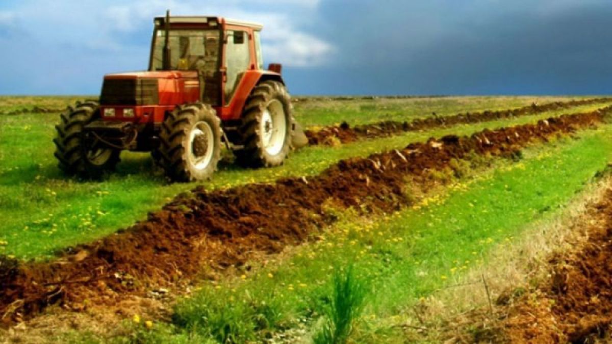 AIPA a finalizat procesul de stabilire a cuantumului de motorină din ajutorul extern acordat de România