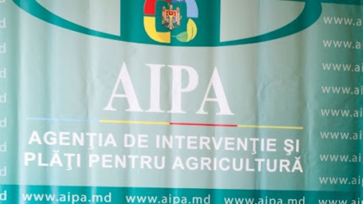 AIPA ar fi devenit un focar de infecție cu coronavirus. Slusari: Vicedirectorul și un șef de direcție sunt testați pozitiv