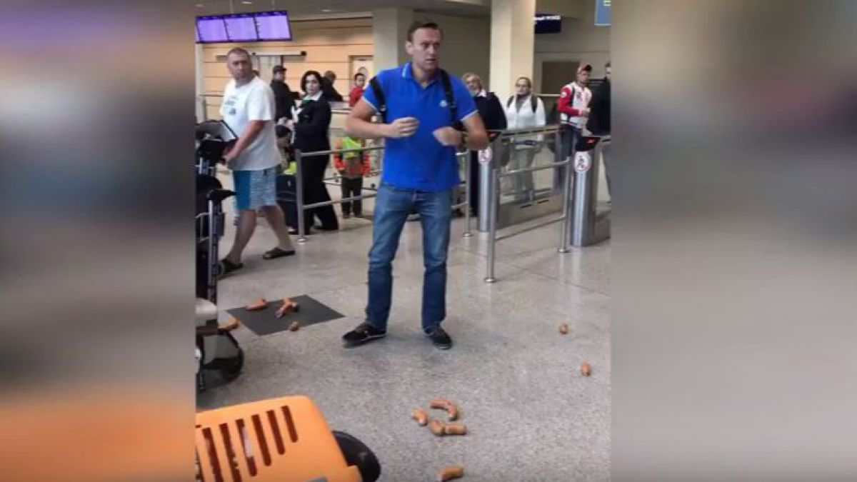 Aleksei Navalnîi a fost atacat cu safalade pe aeroportul Domodedovo