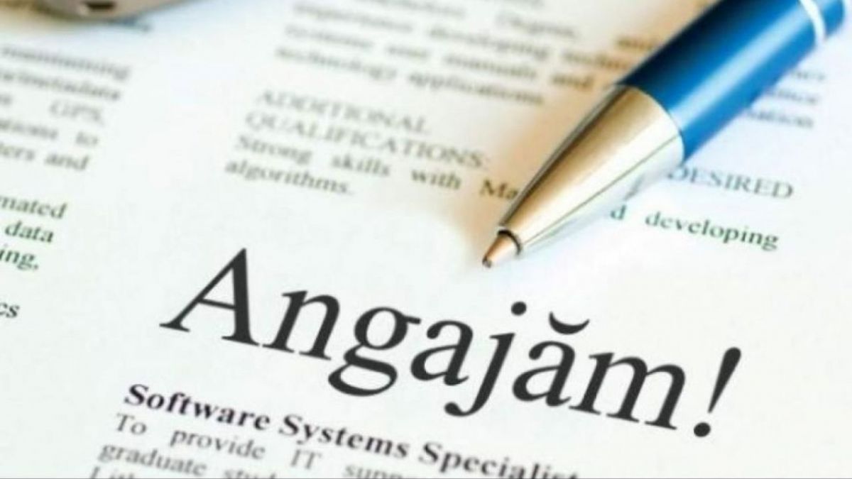 Angajăm vânzători-hamali și vânzători-paznici, fără contract de muncă: Obstacolele întâlnire de tineri în căutarea unui loc de muncă