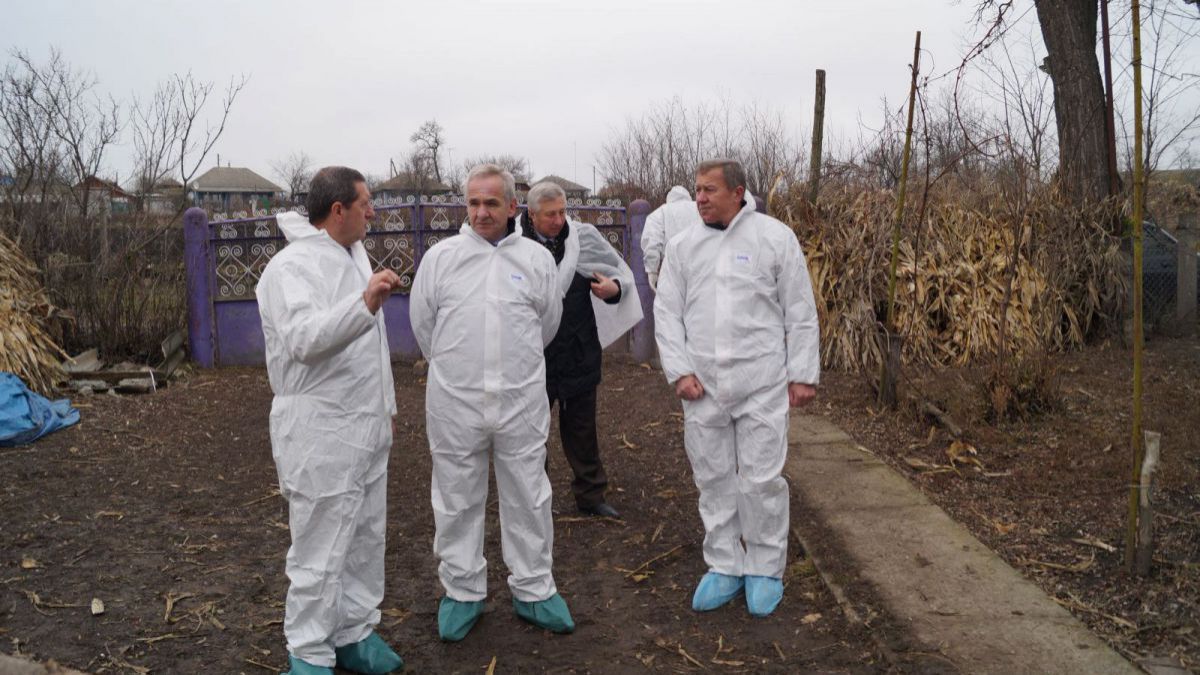 ANSA: Focarele din nordul țării au fost declarate libere de virusul pestei porcine africane