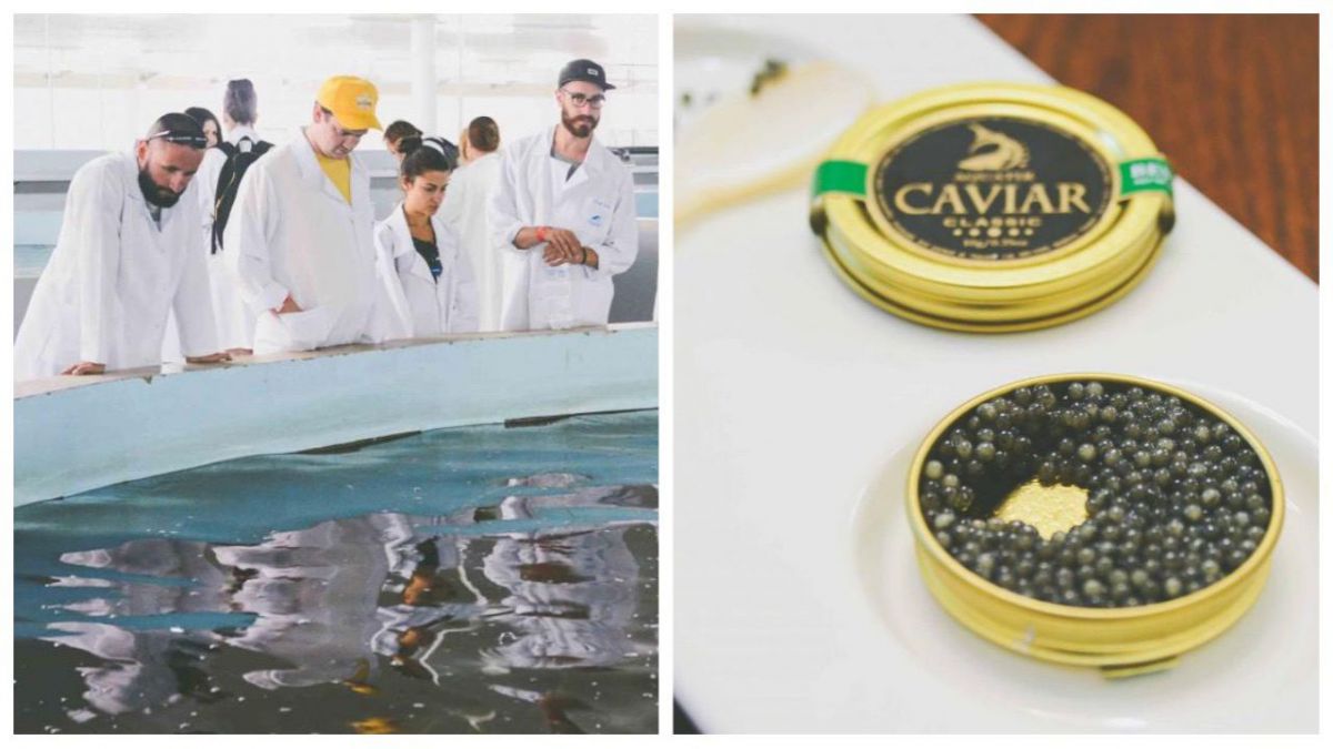 Antreprenorii din stânga Nistrului exportă mai mult în România decât în Rusia