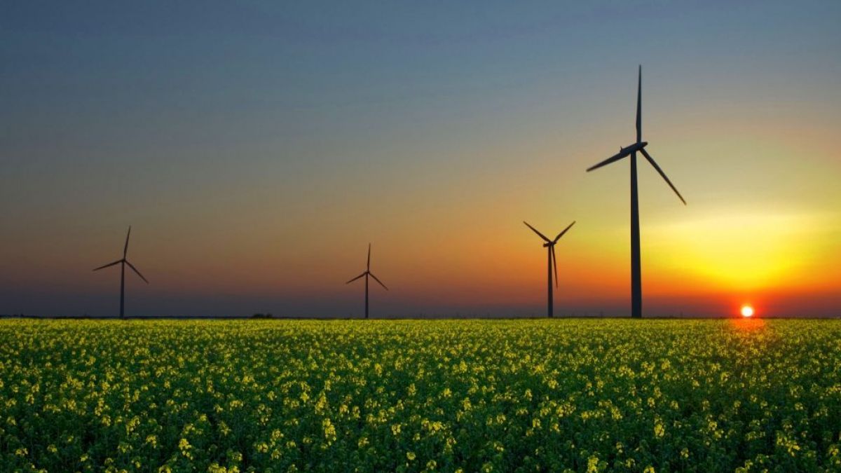 Aprobat în primă lectură: Noi condiții de amplasare a sistemelor fotovoltaice solare și a instalațiilor eoliene pe terenuri agricole
