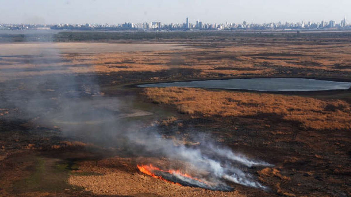 Argentina: Peste 175 de mii de hectare de păduri și zone mlăștinoase au fost cuprinde de flăcări