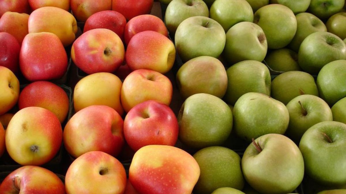 Au fost propuse facilități pentru comerțul cu produse moldovenești în mai multe țări din spațiul mediteranean
