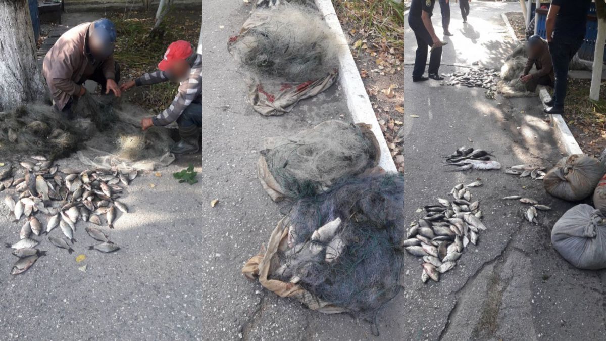Au mers la pescuit chiar în zona de frontieră, dar s-au ales cu pește confiscat și cu o amendă