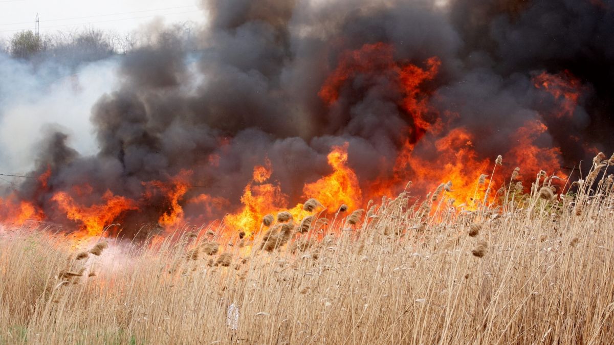 Avertisment din partea meteorologilor: „Se va menține pericol excepțional de incendiu”