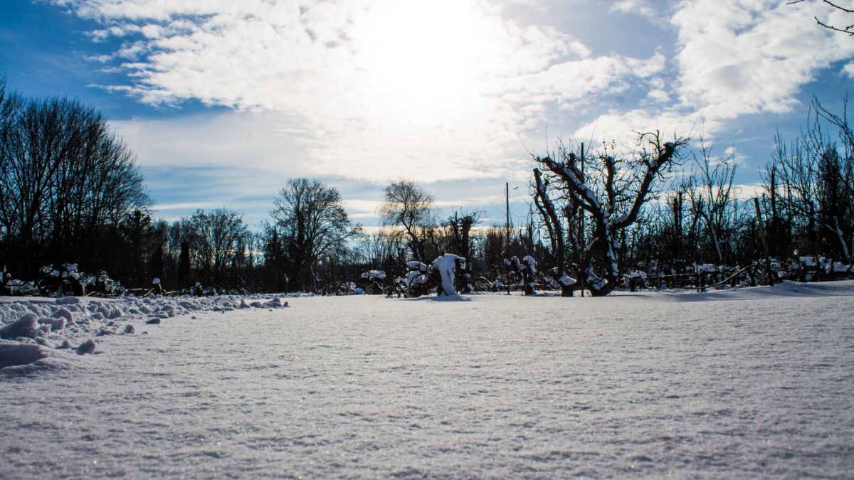 Avertizare meteo: Vremea se va schimba brusc. Se așteaptă temperaturi de -22 de grade