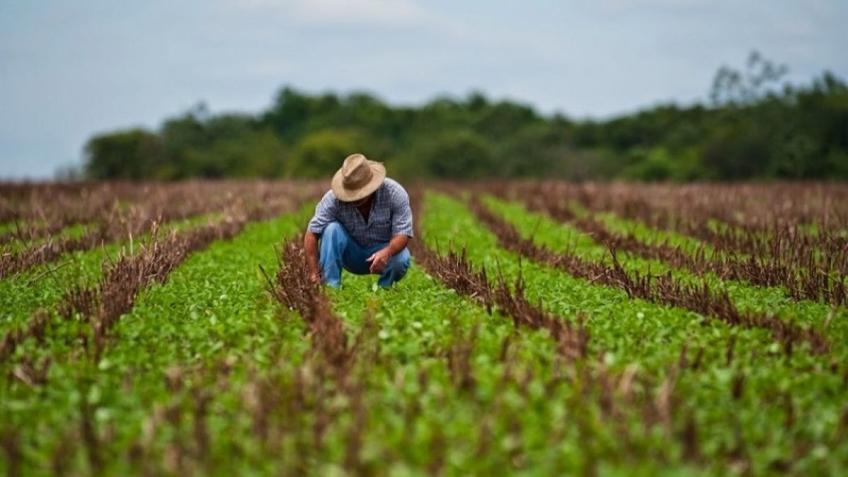 BCS propune ca Fondul național de dezvoltare a agriculturii și mediului rural să fie nu mai mic de 4% din cheltuielile aprobate ale bugetului de sta
