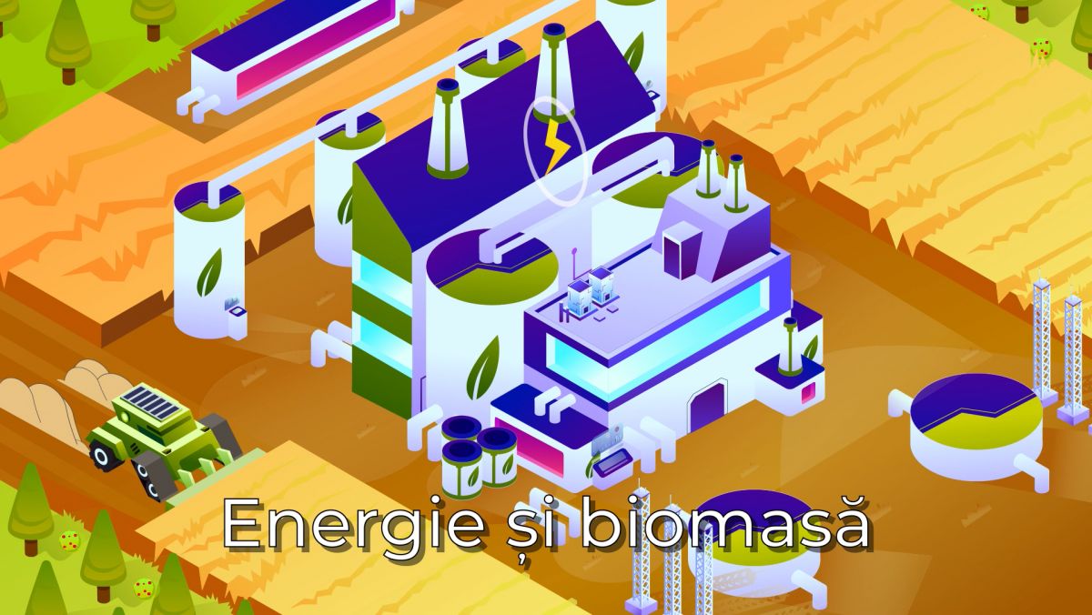 În Moldova sunt 90 de producători de biocombustibil solid. Ce presupune energia electrică produsă din biomasă (VIDEOGRAFIC)