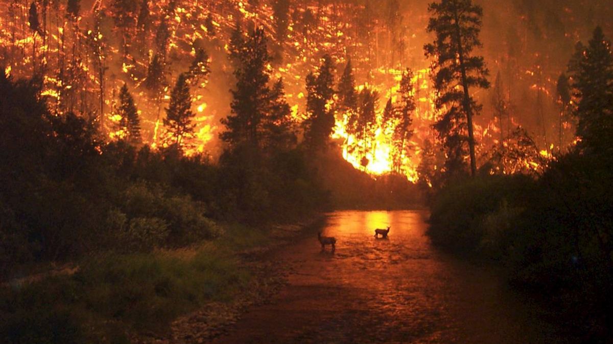 California, devastată de flăcări. A ars o suprafață de 80 de ori mai mare decât cea a Parisului 