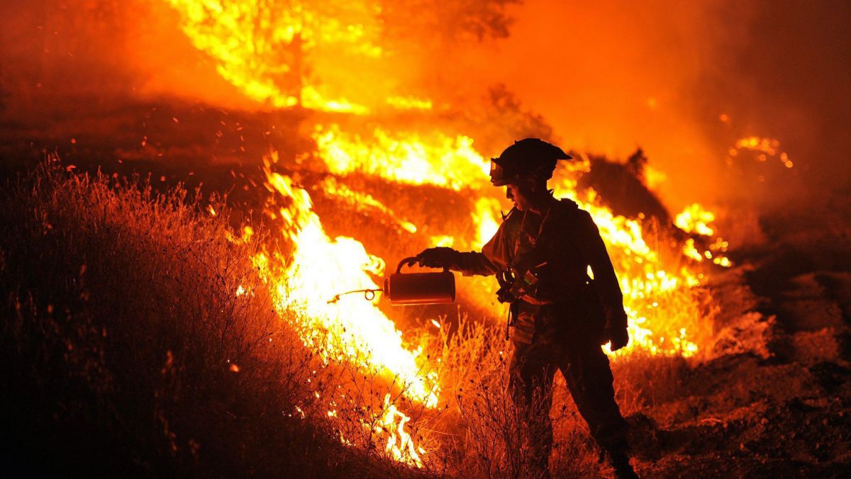 Canada. Stare de urgență prelungită în British Columbia din cauza incendiilor de pădure