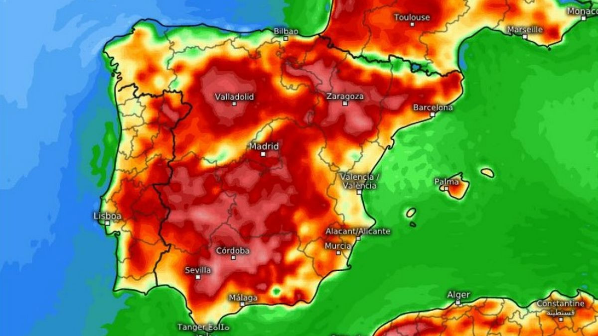 Canicula a provocat 1.700 de decese în Spania și Portugalia, anunță Organizația Mondială a Sănătății