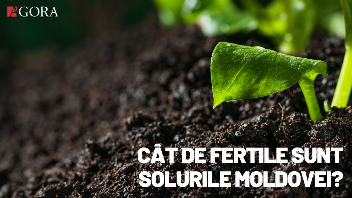 Cât ne mai pot hrăni pământurile noastre? „Noi ne-am deprins doar să luăm, fără a oferi naturii nimic în schimb”