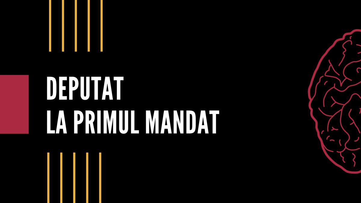 Câți din deputații legislaturii a XI-a sunt la primul mandat