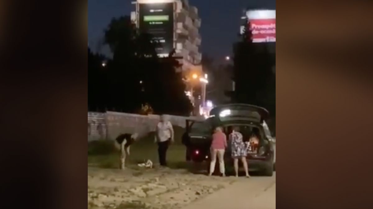 Ceban: „Niște „gospodine” cu Q5 au furat pavaj”. Ce spune poliția (VIDEO)