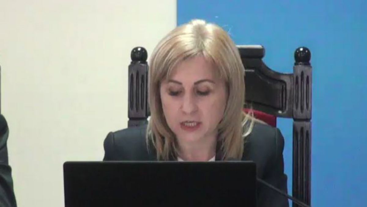 CEC a identificat numeroase neclarități și scăpări în proiectul uninominalului propus de PD