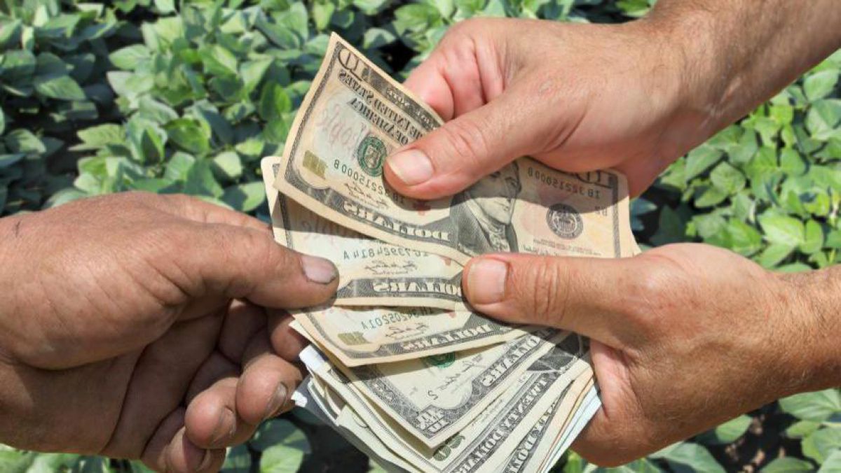 Centrul Naţional Anticorupţie va evalua riscurile instituționale de corupție în cadrul AIPA