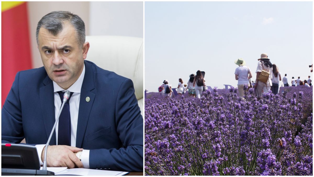 Chicu, despre ședințele foto în lanuri de levănțică: „Când veți fi internați în stare gravă la spital, arătați medicului pozele”