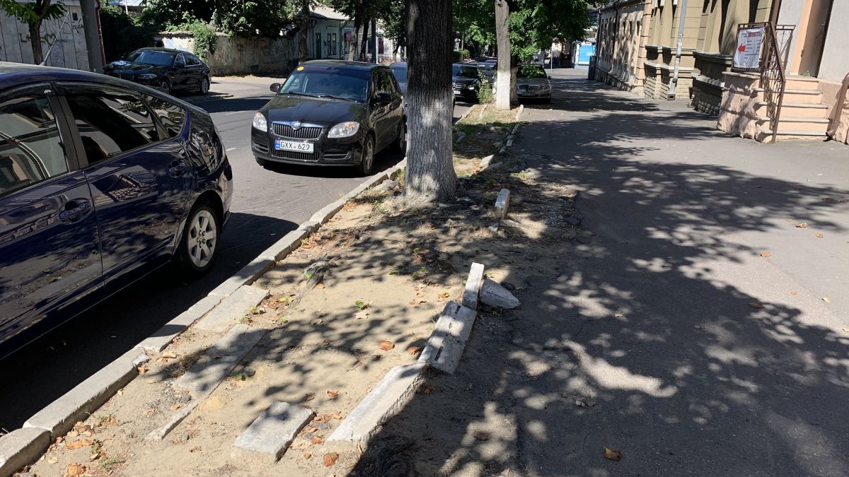 Chironda explică din ce motive sunt defrișați arborii de pe strada Bănulescu-Bodoni: „Nu ne permitem să irosim banii pe lucrări necalitative”