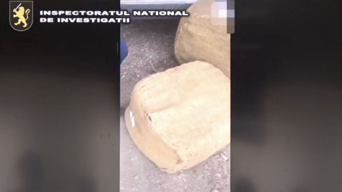 Cinci persoane, reținute pentru contrabandă cu tutun: Valoarea mărfii depistate depășește 1 000 000 de lei