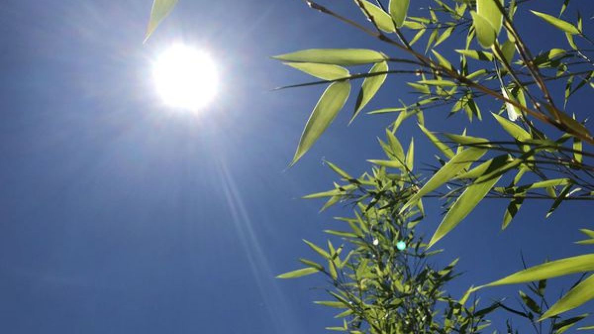 Cod Galben de caniculă în Republica Moldova. Ce temperaturi sunt prognozate