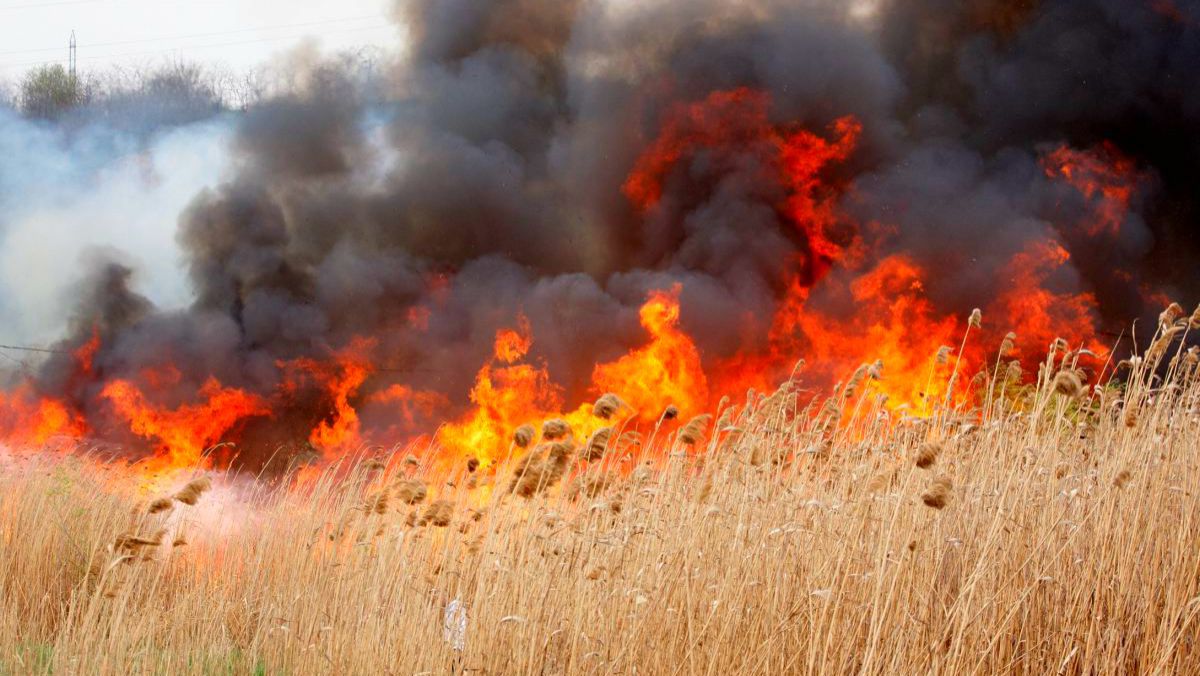 Cod galben de incendiu! Meteorologii prognozează temperaturi înalte ale aerului