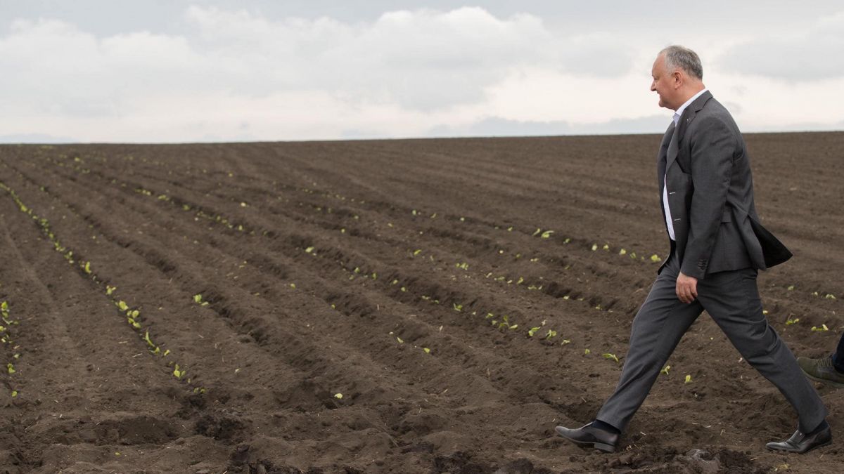Coloana prezidențială, surprinsă în arătură. Dodon insistă că „acolo era drum” (FOTO)