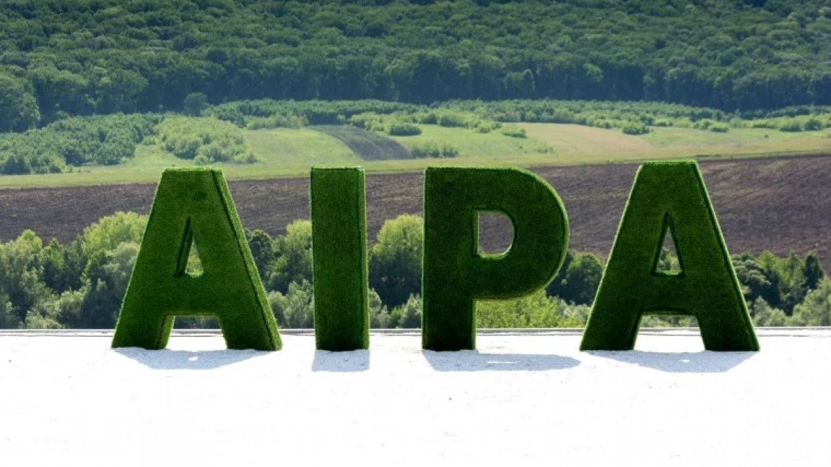 Conducerea AIPA, despre perchezițiile efectuate de CNA: Se disociază de angajații care admit acte de corupție
