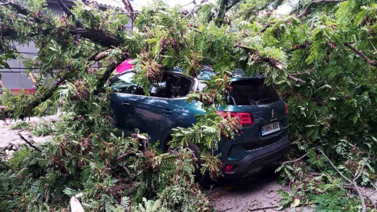 Consecințele vântului: Pompierii au salvat un bărbat blocat sub un arbore căzut (FOTO)