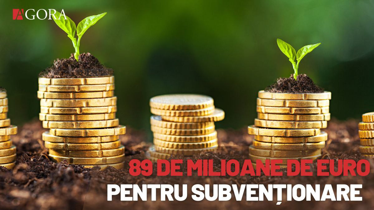 Cu 89 de milioane de euro, autoritățile își propun să subvenționeze sectorul agricol. Ex-ministru: Suma trebuie să fie de trei ori mai mare