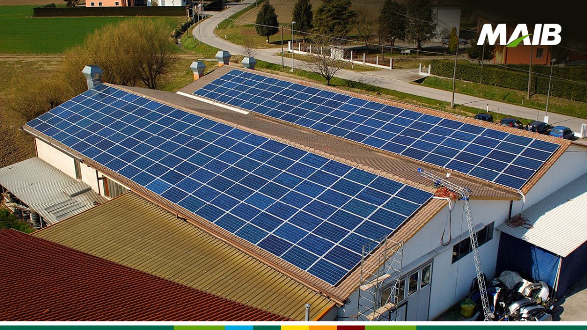 Cu MAIB e convenabil să investești în economia verde. Condiții mai avantajoase pentru creditarea eco