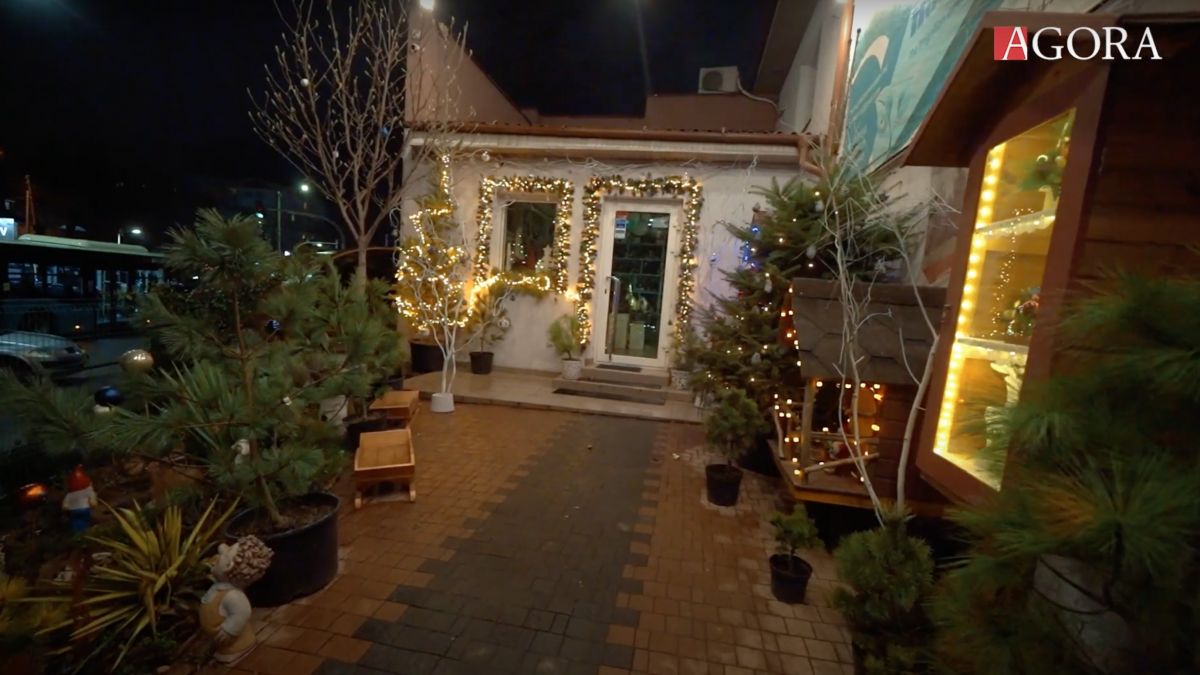 Cum ne decorăm casa de sărbători și unde găsim, în capitală, decoruri rupte din basm (VIDEO)