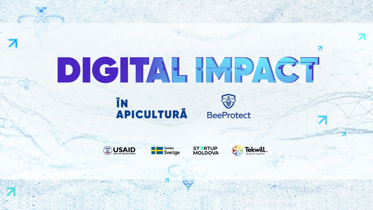 Cum o aplicație mobilă poate salva viața albinelor din Moldova
