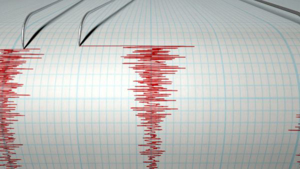 Cutremur cu magnitudinea de 4,2 grade în judeţul Vâlcea