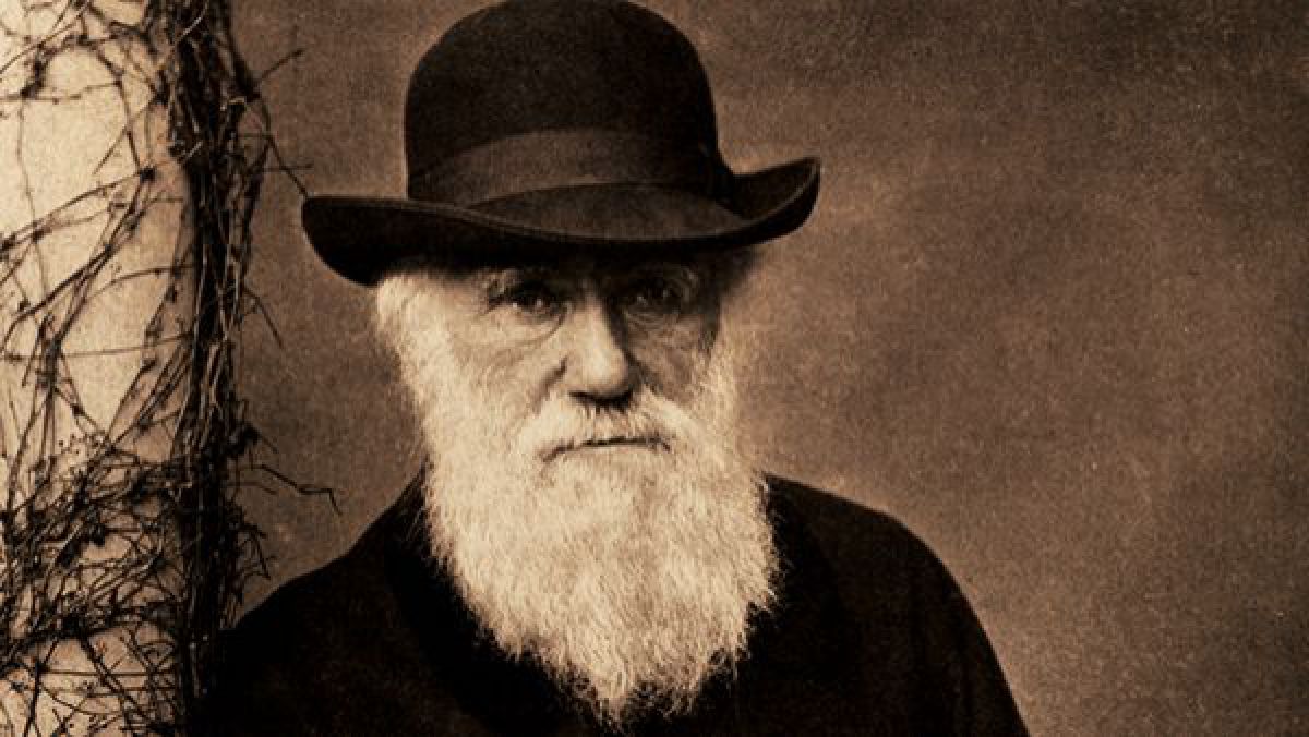 Darwin nu a afirmat că omul se trage din maimuţă. Cine ar fi strămoşul oamenilor?