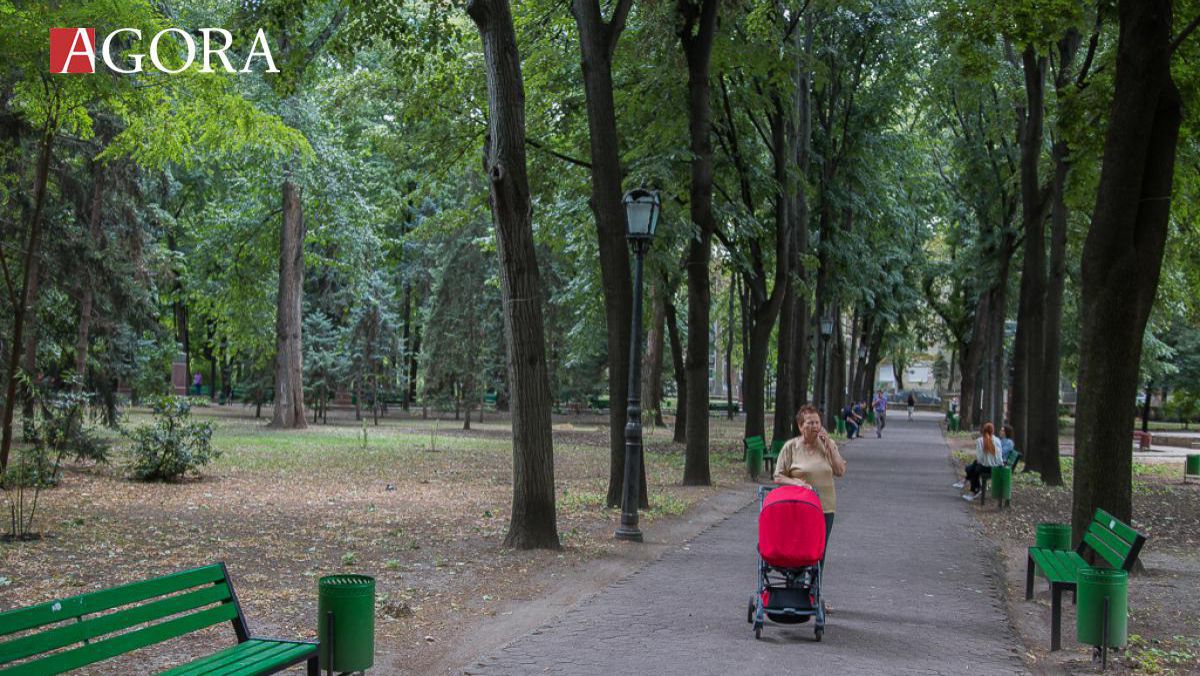 Datele Recensământului din 2014 ar putea fi procesate până anul viitor