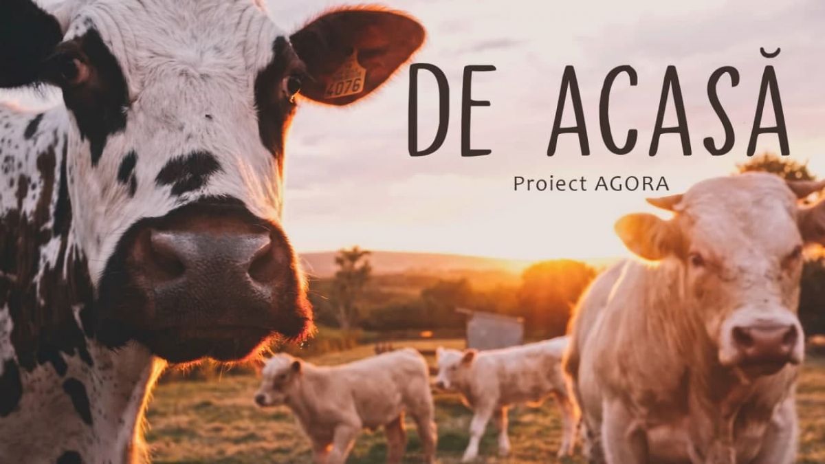 DE ACASĂ: Istoria de succes a primului producător de lactate din Moldova a cărui marfă a apărut pe rafturile magazinelor în ambalaj de sticlă (VIDEO) 