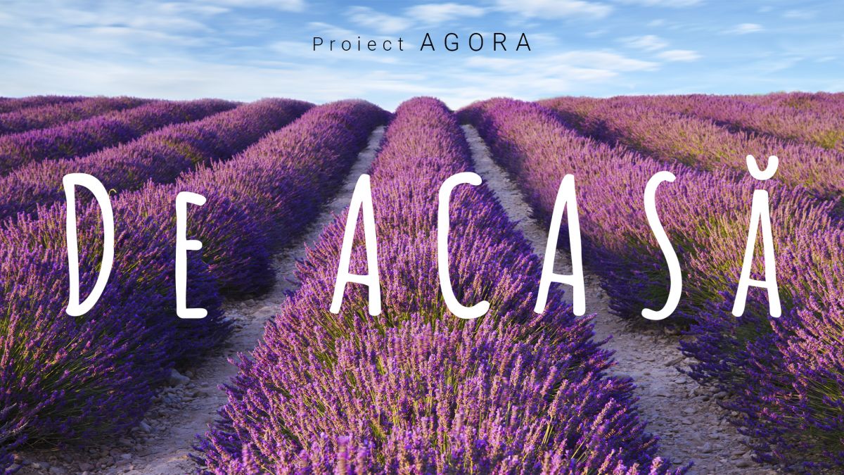 DE ACASĂ: Mov și parfum irezistibil! Valeriu Ciorbă cultivă levănțică din care, ulterior, produce uleiuri, aromatizatoare pentru mașini și apă de lavandă (VIDEO)