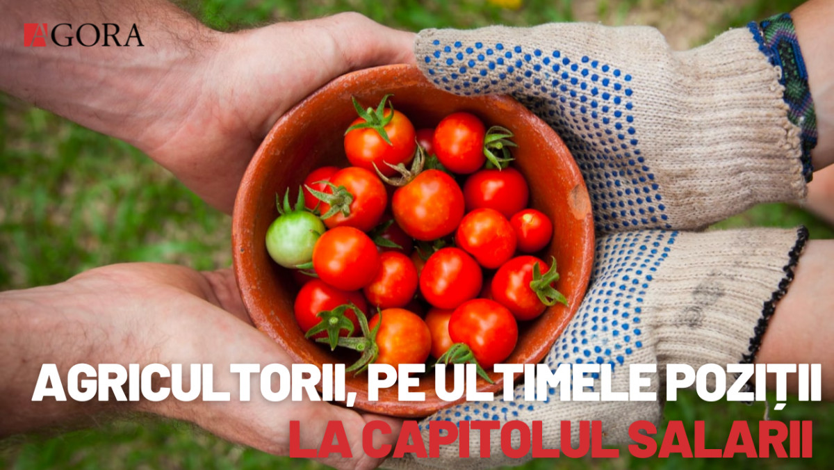 De ce sectorul agricol duce lipsă de oameni și ce fac autoritățile pentru a soluționa problema  