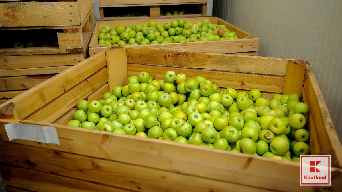 30 de culturi agricole din Republica Moldova, selectate pentru a primi certificare de calitate prin programul Global G.A.P.