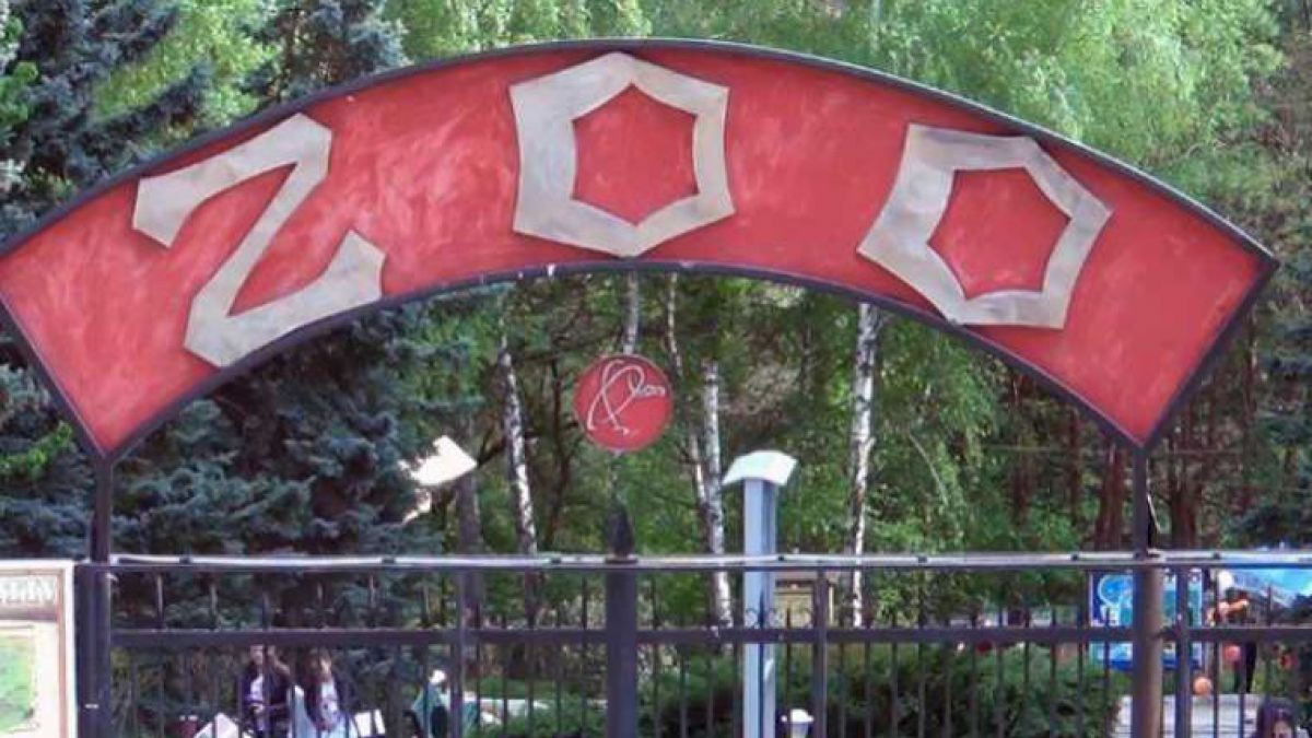 Demisie la Grădina Zoologică din capitală: Șeful instituției, rămas fără funcție, după un audit intern. Alexei Hanțațuc: „Voi contesta decizia”