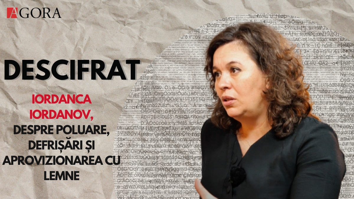 DESCIFRAT| Ministra Mediului, despre poluare, defrișări i(legale) și aprovizionarea moldovenilor cu lemne (VIDEO)