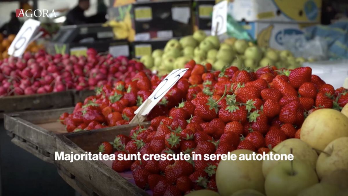 Vremea răcoroasă întârzie coacerea cireșelor. Ce căpșuni găsești la piață și cât costă (VIDEO)