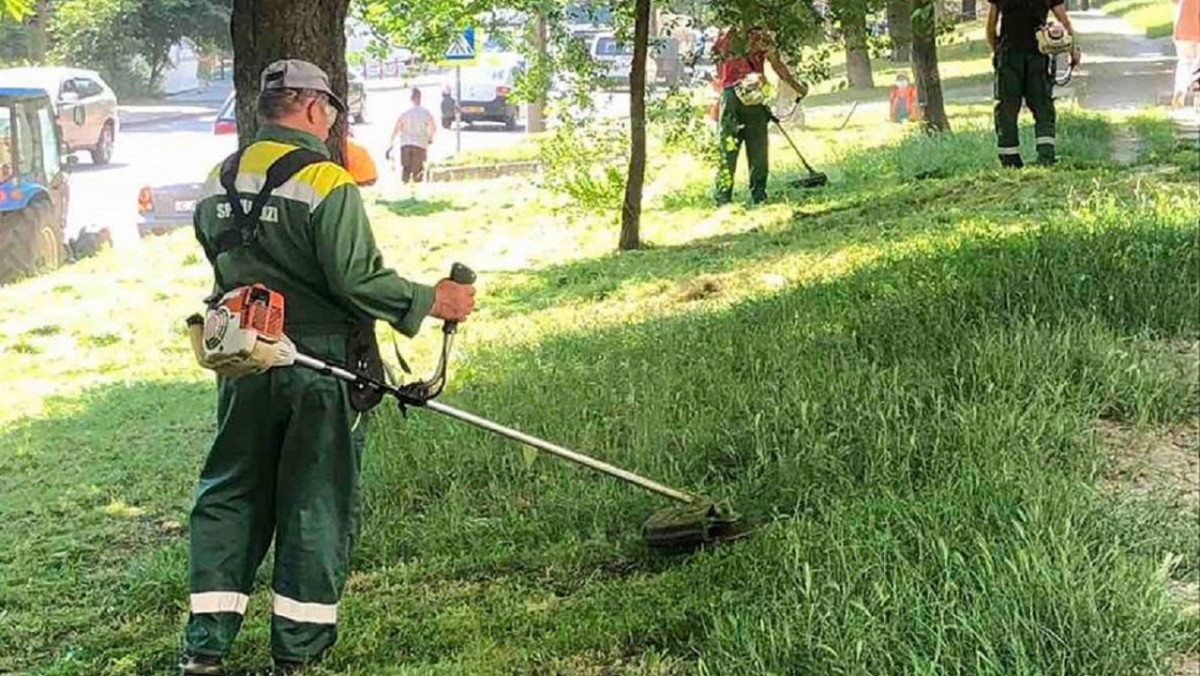 Directorul de la „Spații Verzi”, suspendat din funcție, după tragedia din parcul Alunelul