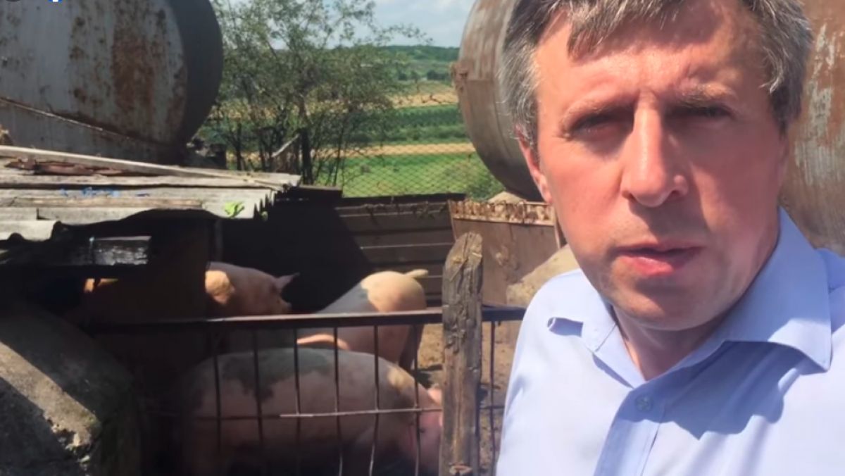 Dorin Chirtoacă s-a filmat lângă un țarc cu porci. L-a insultat pe Igor Dodon și alegătorii lui (VIDEO)