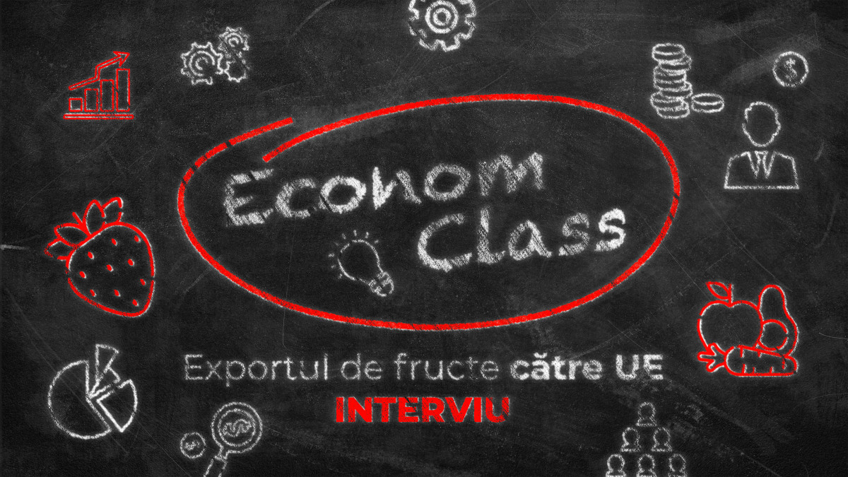 EconomClass | 2# Exportul de fructe către UE. Expertul Vasile Pojoga ne spune care sunt principalele beneficii ale pieței occidentale (INTERVIU)