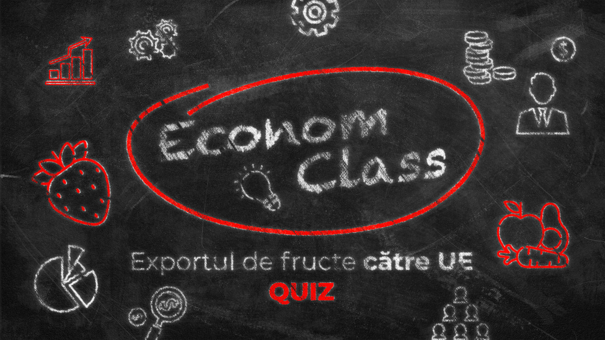 EconomClass | 2# Exportul de fructe către UE. Vă punem cunoștințele la încercare, după explainer-ul și interviul publicat (QUIZ)