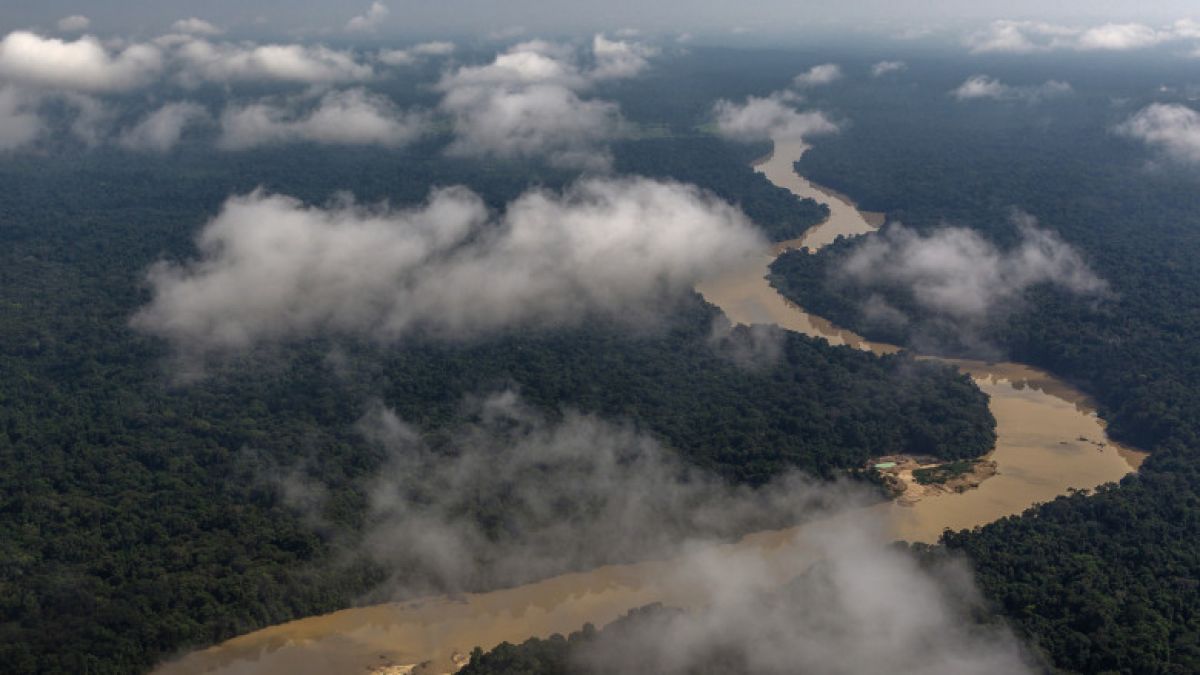 Efectele crizei climatice. Pădurea amazoniană emite pentru prima dată mai mult dioxid de carbon decât consumă