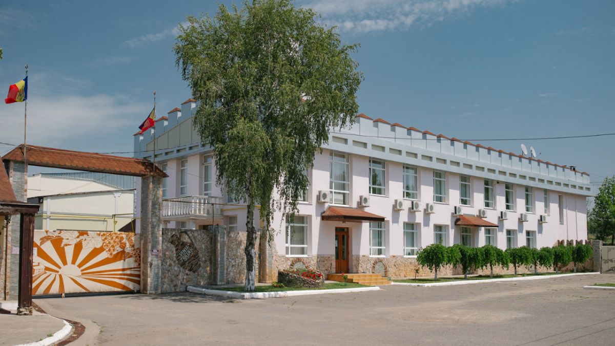 Ești în căutarea unui vin cu gust deosebit? Vinurile „Vinia Traian” sunt potrivite pentru toți